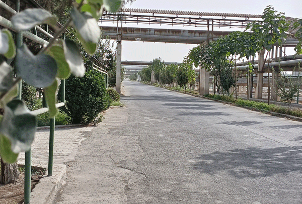 Хашар на Ферганском НПЗ: коллективная работа ради чистоты и порядка